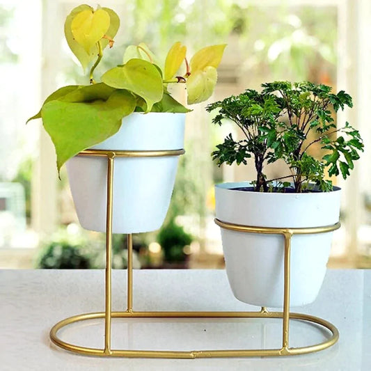 Metal Planter set Tabletop - Premium  from The Gift Bays - Just ₹1000! Shop now at TheGiftBays